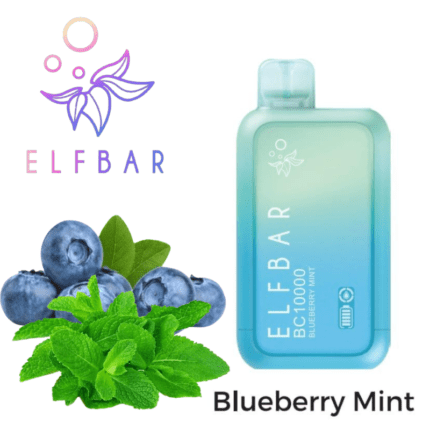 Elf Bar Blueberry Mint Bc 10000 Puffs Disposable Vape